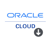 13_oracle_fusion_reports_connector.png
