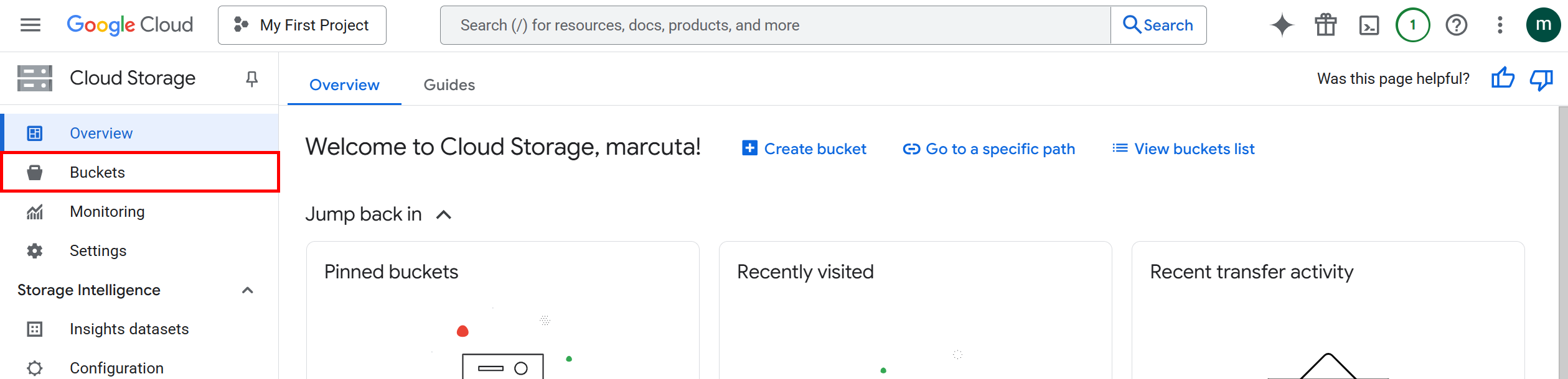 Enable Cloud Storage Bucket