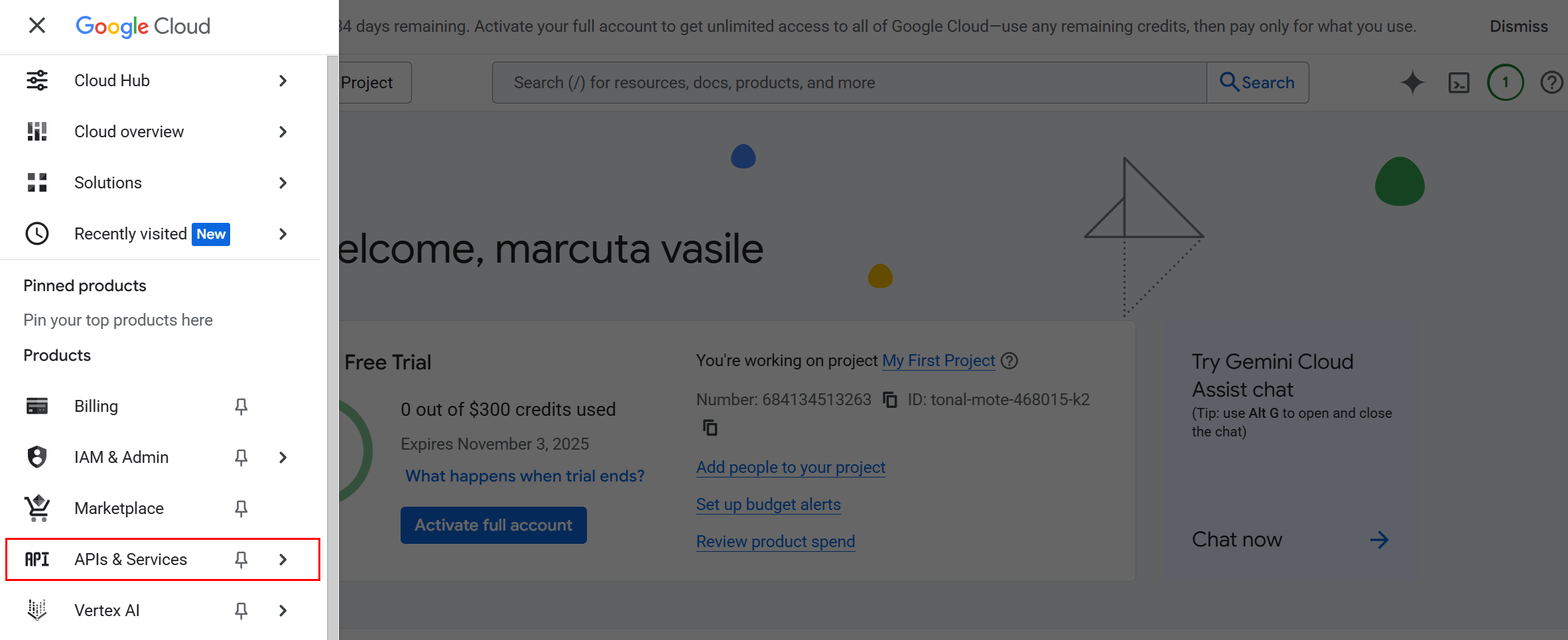 Enable Cloud Storage JSON API