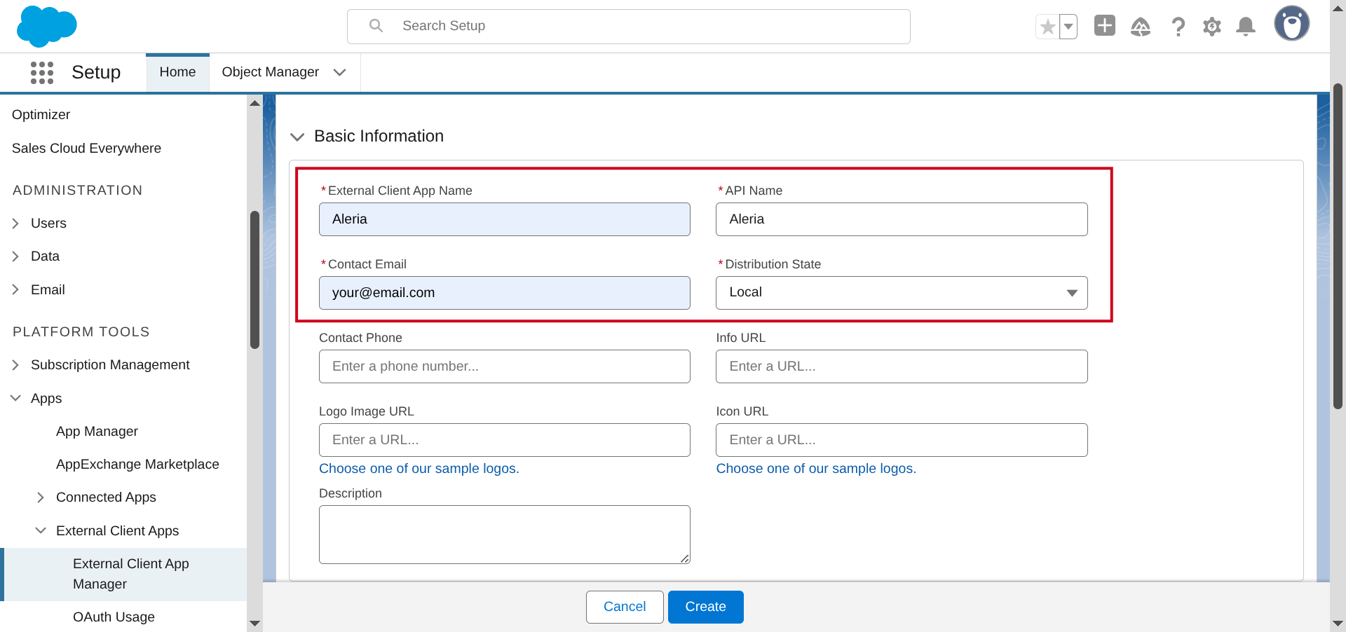 1_salesforce_basic_info.png