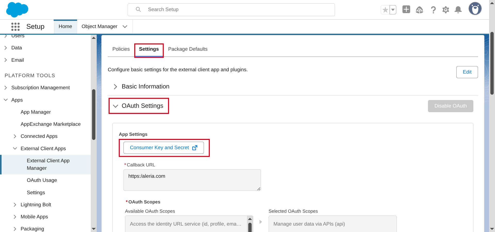 3_salesforce_key_secret_button.png